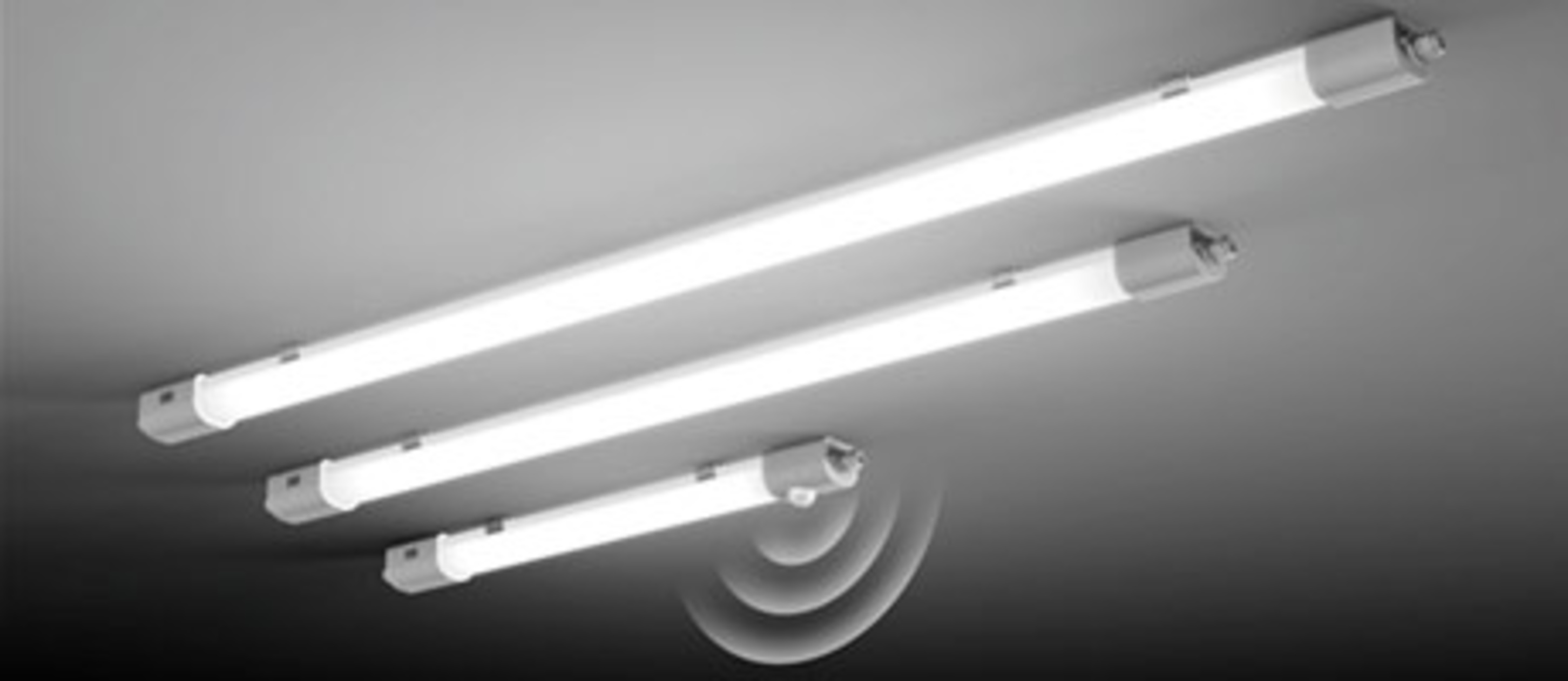 Planox Feuchtraumleuchten bei Bodem-Elektro-Elektronik GmbH in Gutenborn